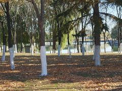 -长春世界雕塑园冰雪艺术天地