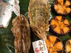 -鲤·鮨KOISUSHI