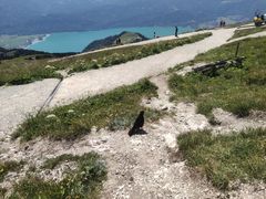-沙夫山