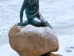 -美人鱼