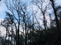 -东湖磨山景区