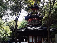 -上海佘山国家森林公园西佘山园