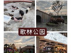 -苏州青少年科技馆