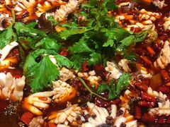 特色乌鱼花-重庆乌鱼庄·龙滋鲜(青羊大道店)