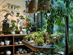 -自由生长植物工作室(深港花卉中心店)