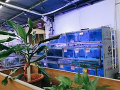 -八仔大富楼·河鲜(西江店)