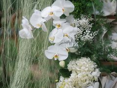 -上海安亭别墅花园酒店