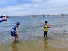 -碧海金沙