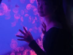 -江和美海洋公园