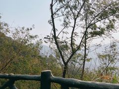 -梧桐山风景名胜区