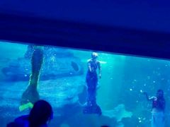 -多彩贵州城极地海洋世界