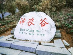 -炎陵县神农谷国家森林公园