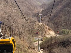 -栾川竹海野生动物园