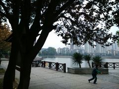 android_upload_pic-喷泉公园