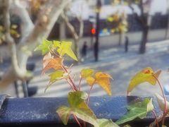 -龙门阵茶屋川菜馆(武康路店)