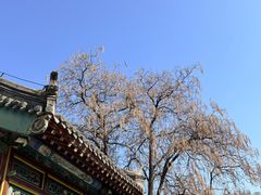 -张学良旧居陈列馆