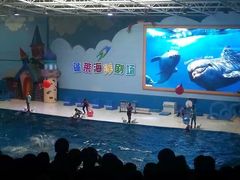 -蓬莱欧乐堡海洋极地世界
