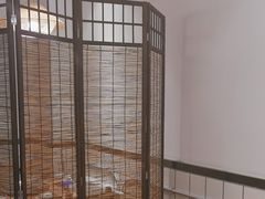 -阿鸡鱼庄·顺德鲜蒸小炒(亚运村店)