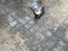 -姥家大锅台水库渔家