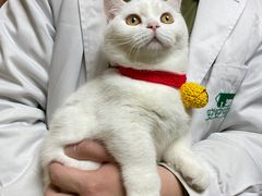 -安安宠医·安宠宠物医院