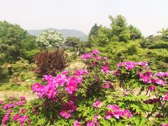 -国家植物园南园