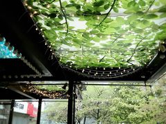 玛格萝妮比萨屋(物华店)-玛格萝妮比萨屋(四平店)