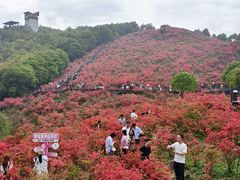-瑞安圣井山景区