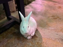 -正佳雨林生态植物园