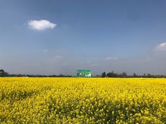 -中国天府农业博览园