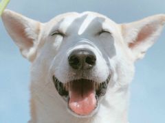 -麦当劳(武商建二店)