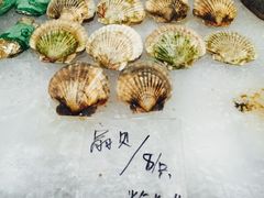 -龙达温泉生态城