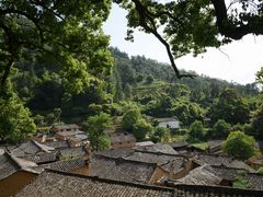 -杨家堂村