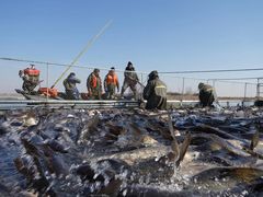 -南京金牛湖风景区