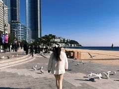 -海云台海滩