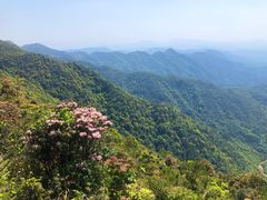 -广东天露山旅游度假区