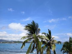 -雾山韩式烤肉·海南糟粕&椰子鸡火锅·海景餐厅(三亚绿发山海天JW万豪酒店)