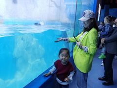 -多彩贵州城极地海洋世界