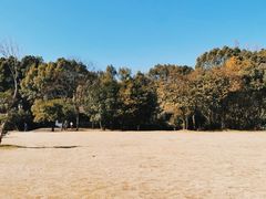 -柯岩风景区