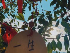 -台山颐和温泉城