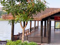 -枫香湖儿童公园