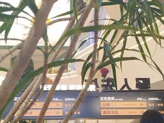 -野人先生Gelato(上海长宁龙之梦店)