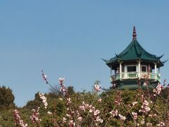 -无锡梅园公园