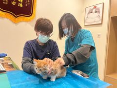 -美迦爱-牙专科·兔科·骨科诊疗中心(北苑店)