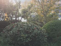 -郑州银基黄帝宫御温泉