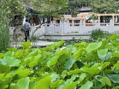 -莲湖公园