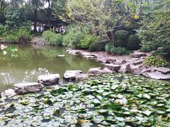-汇龙潭