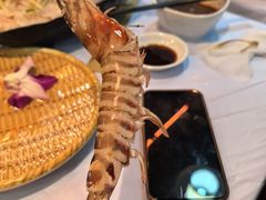 -鲜入围煮花胶鸡海鲜火锅