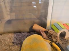 -平行世界·猫咖(首经贸店)