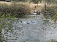 android_upload_pic-西湖茶墅