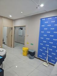 -碧莲盛不剃发植发